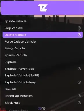 FiveM: TZ Internal