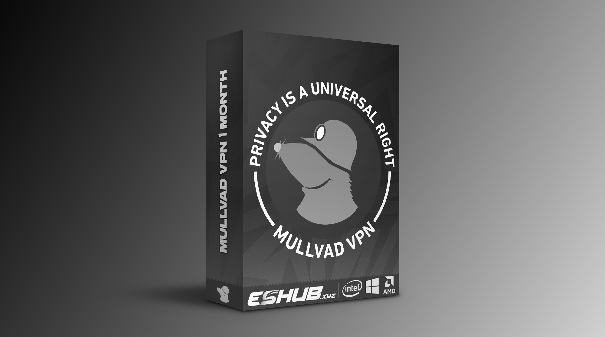 Mullvad VPN 1 Month Key