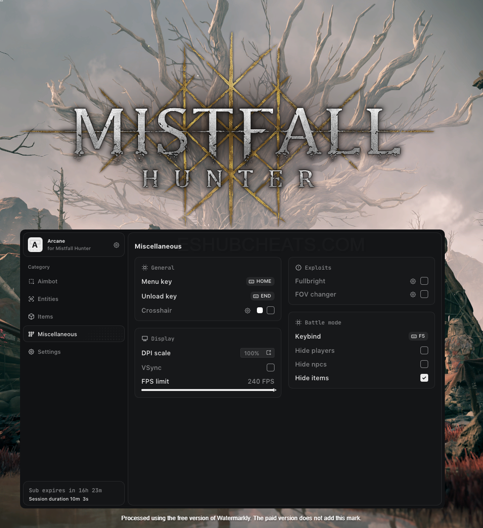 Mistfall Hunter: Arcane